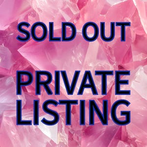 SOLD OUT ~ Reserved for Adonia ~ Payment 3 of 16 ~ Ruby Zoisite with Black Tourmaline Crystal Skull 3 Lb. ~