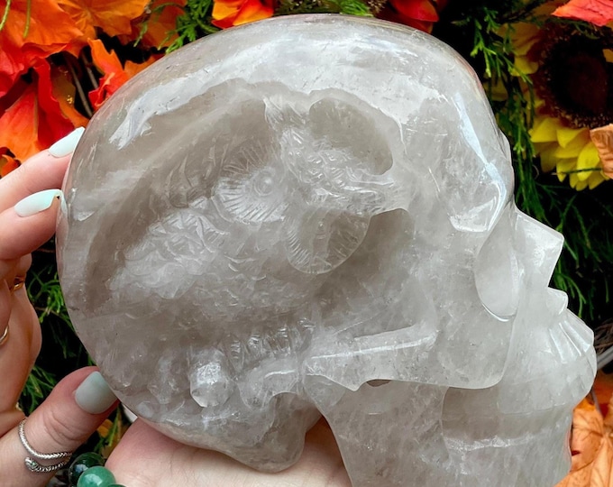 Clear Quartz Crystal Skull ~ Large 6 Lb. 13 oz. ~ 6" Long ~ Hand Carved with Owl Carving ~ Life Size ~ Fast & Free Shipping from U.S.A ~