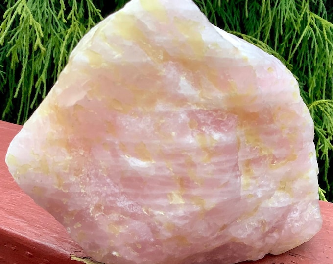CLEARANCE ~ Rose Quartz Freeform Crystal ~ Large 2 lb. 5 oz ~ 4" Long ~ Gemmy Pink with Golden Healer Inclusions ~