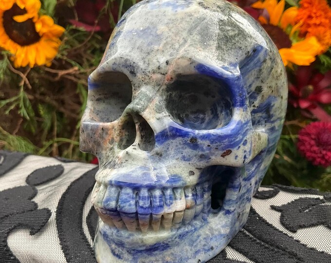 Sodalite Crystal Skull ~ Large 2 Lb. 13 oz. ~ 5" Long ~ Hand Crafted Sparkling Blue & White Sculpture ~ Reiki Display