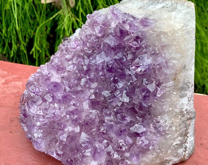 CLEARANCE! ~ Amethyst Crystal Quartz Large 1 lb. 6 oz. Cluster - 3" Long ~ Gorgeous Display ~ Beautiful Purple Points ~