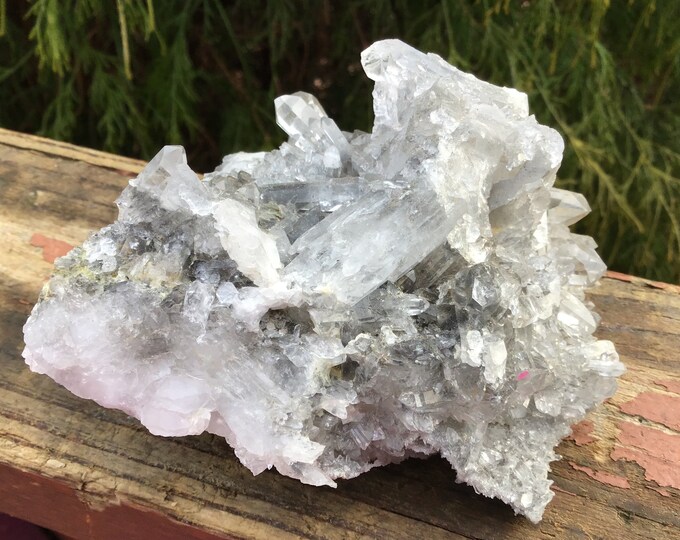 Black Phantom Quartz Crystal Cluster ~ Large 1 Lb. ~ 4" Long ~ Sparkling Clear Points ~ Rainbow Inclusions ~ Rare Manganese Mineral