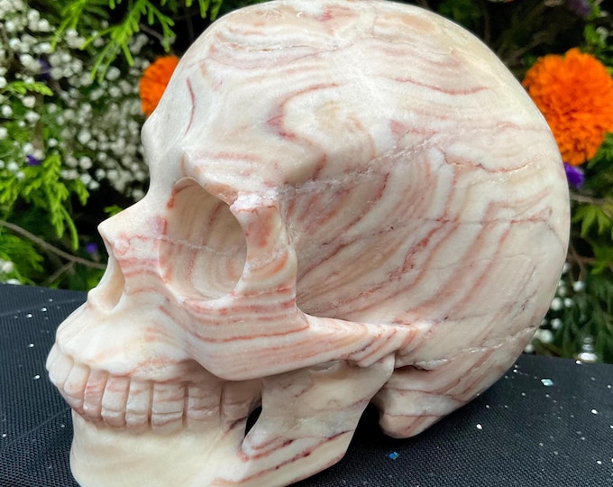Banded Pink Calcite Crystal Skull ~ Large 2 Lb. 13 oz. ~ 5" Long ~ Hand Carved Sculpture ~ Sparkling Pink Yellow White Grey & Black Colors