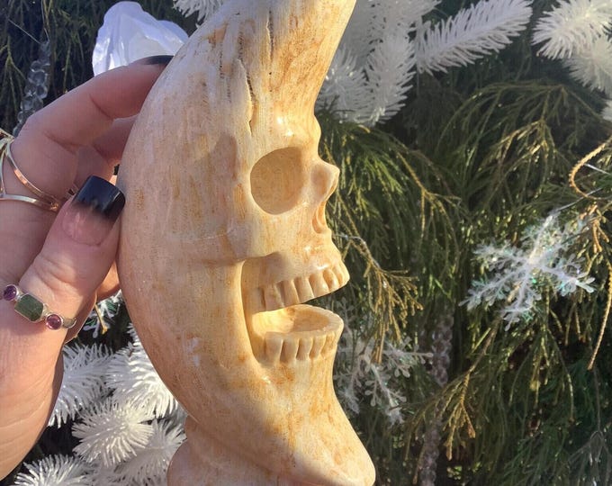 Fossilized Coral Stone Moon Crystal Skull ~ Large 1 Lb. 15 oz ~ 6 1/2" Tall ~ Laughing Crescent Moon ~ One-of-a-Kind ~ Hand Carved Sculpture