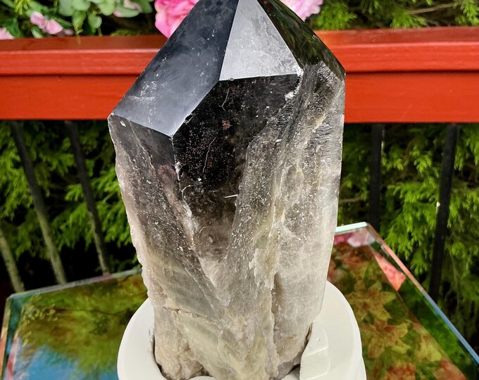 Black Morion Quartz Display Crystal 7 Lb. 4 oz. Single-Terminated Point Cluster ~ 8" Tall ~Natural Black Color ~ Custom Hand Carved Stand