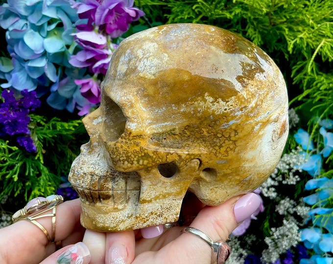 Yellow Ocean Jasper Crystal Skull ~ Large 2 Lb. 6 oz. ~ 5" Long High Quality ~ Expertly Hand-Carved Sculpture Vivid Colors ~ Fast Shipping