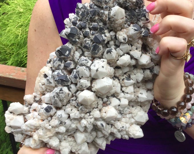 Elestial Large 4 lb. Ancient White Cluster ~ 9 " long ~ Charcoal Gray & Black Exterior Inclusions ~ Ultra Rare Specimen ~ Crystal Display