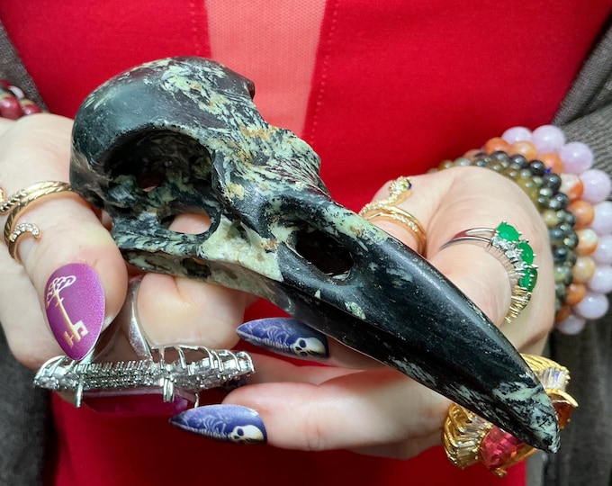 Black and Green Tourmaline Raven Skull ~ 4 1/2" Long ~ Hand Carved Sculpture
