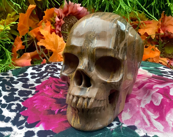 Tigers Eye Crystal Skull ~ Large 3 Lb. 4 oz ~ 5" Long One-of-a-Kind Carving ~ Swirling Golden Red Brown & Black Colors ~ Quality Hand Carved