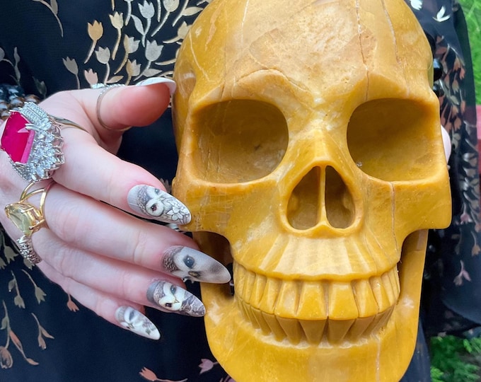 Yellow Jasper Crystal Life-Size Skull ~ Large 7 Lb 11 oz ~ 6" Long ~ High Quality ~ Expertly Hand-Carved ~ Solar Plexus Chakra Altar Display