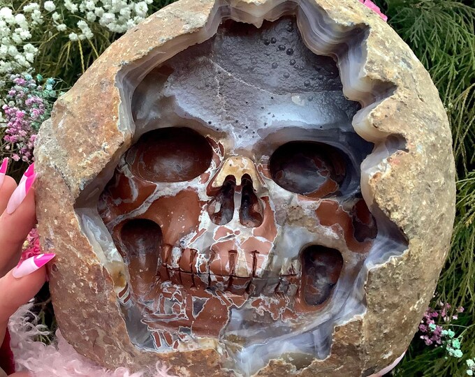Brecciated Jasper Agate Crystal Skull ~ Large 6 Lb. 13 oz. ~ 7" Tall ~ Colorful Red & Grey Colors ~ Hand Carved ~ Fast and Free Shipping USA