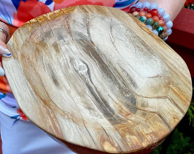 Petrified Wood Crystal Bowl ~ Large 6 lb. 8 oz. ~ 8" Long ~ Stunning Display from Indonesia ~ Millions of Years Old ~ Fast Free Shipping USA