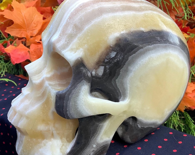 Orange Calcite Banded Crystal Skull ~ Large 7 Lb 6 oz ~ 6" Long ~ Hand Carved Life Size Sculpture Sparkling Yellow White Grey & Black Colors