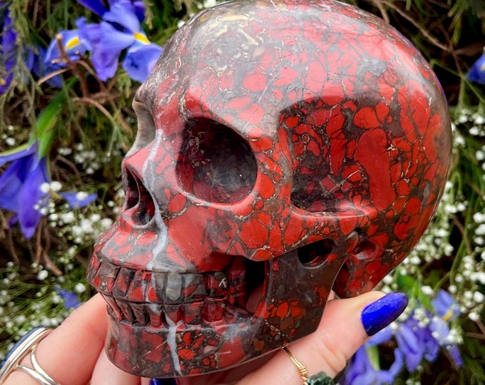 Brecciated Red Jasper Crystal Skull ~ Large 2 Lb. 14 oz. ~ 5" Long ~ Root Chakra Altar Display ~ Metaphysical Home Decor ~ Free Shipping ~