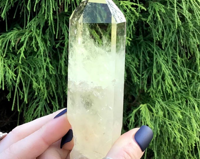 Citrine Quartz Crystal Point Large 6 oz. Wand ~ 4 1/2" Long ~ High Altitude Himalayan Crystal ~ A+++ Museum Quality ~ White Ghost Phantoms