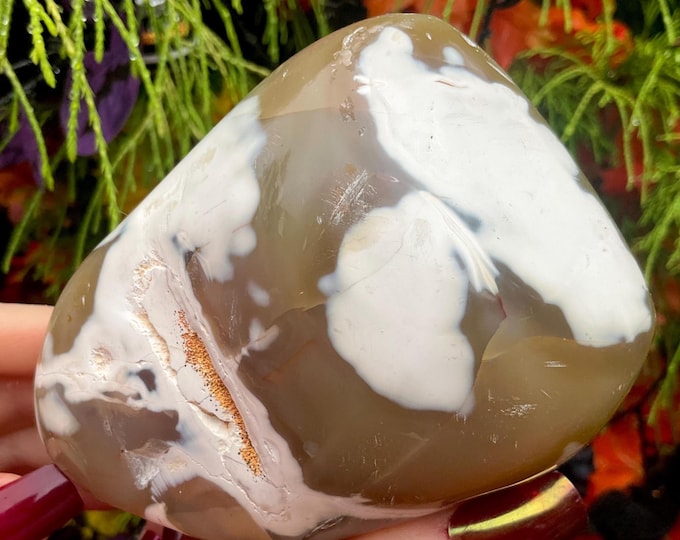 Orca Agate Freeform Crystal ~ Large 1 Lb. 4 oz. ~ 4 " Long ~ Stunning Blue-Black Grey & White Colors ~ Palm Stone ~ Reiki, Altar Display