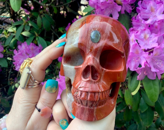 Red Jasper Crystal Skull ~ Large 3 Lb. ~ 5" Long ~ Labradorite 3rd Eye ~