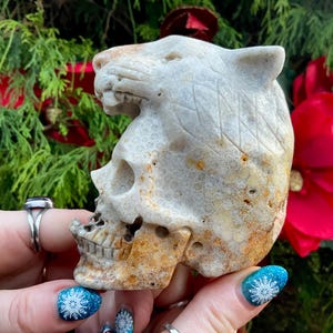 Petrified Wood Panther Crystal Skull ~ 1 Lb. 7 oz. ~ 4&quot; Tall ~ One-of-a-Kind Color ~ Expertly Hand Carved Sculpture ~ Fast & Free Shipping