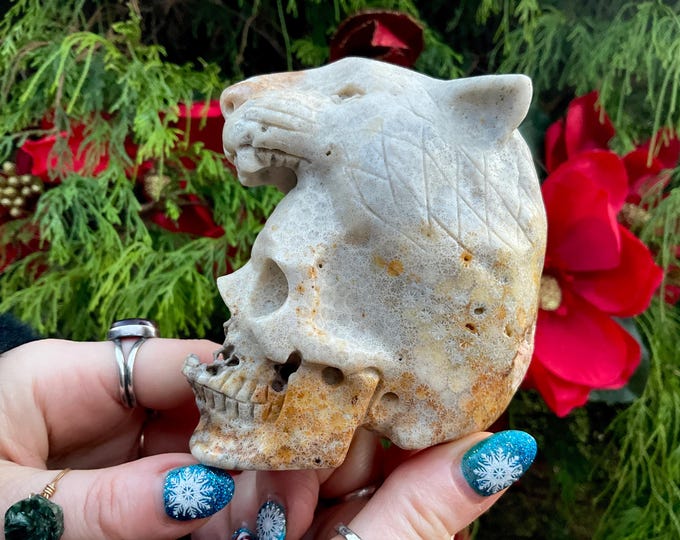 Petrified Wood Panther Crystal Skull ~ 1 Lb. 7 oz. ~ 4" Tall ~ One-of-a-Kind Color ~ Expertly Hand Carved Sculpture ~ Fast & Free Shipping