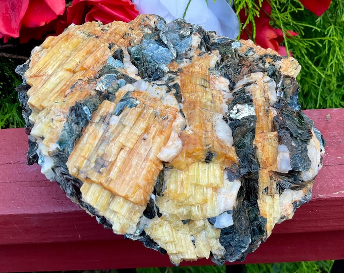 Yellow Tourmaline Crystal Cluster ~ Large 6 Lb. 11 oz. ~ 6 1/2" Long ~ Gemmy Colorful Golden Bands with Mica and Black Tourmaline Crystals
