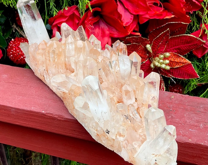 Lemurian Quartz Crystal Cluster ~ Large 5 Lb. 13 oz. ~ 12" Long ~ Frosted Orange Points, Stunning Display, Home Decor ~ Fast & Free Shipping