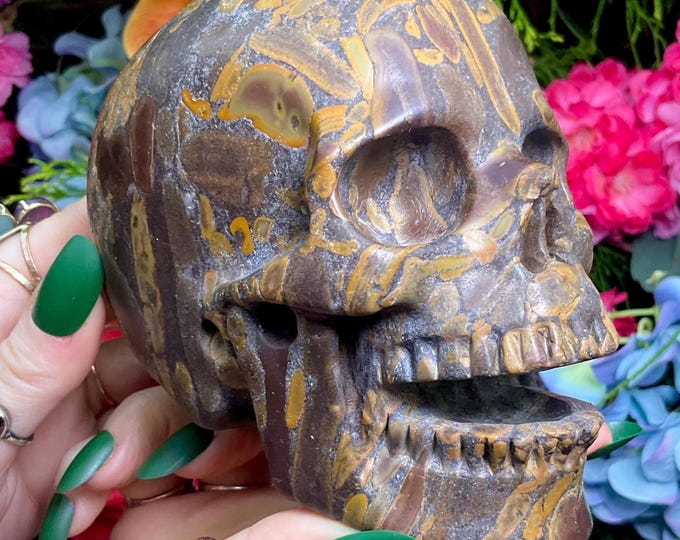 Fossilized Jasper Laughing Crystal Skull ~ Large 3 Lb. 6 oz. ~ 5" Long ~ Hand Carved Sculpture ~ Golden Red Brown & Black Colors ~