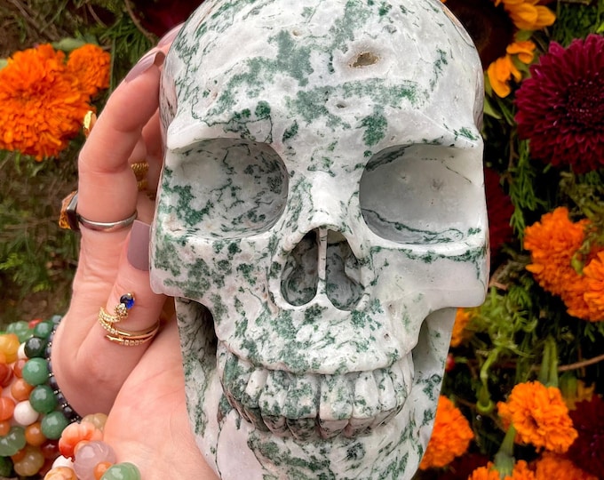 Moss Agate Crystal Skull ~ 6 Lb. 13 oz. ~ 6" Long ~ Swirling Green & White Colors ~ Expertly Hand-Carved Display Sculpture