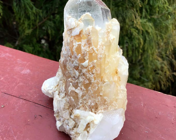 Golden Healer Elestial Quartz Crystal Cluster ~ 6.5 oz. ~ 3" Tall ~ Natural Tibetan Crystal ~ Metaphysical Home Decor ~ Fast & Free Shipping