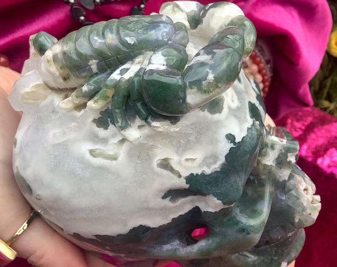 Moss Agate 2 Lb. 14 oz. Crystal Skull with Scorpion~ 5" Long ~ Swirling Green & White Colors ~ Expertly Hand-Crafted Display Sculpture ~