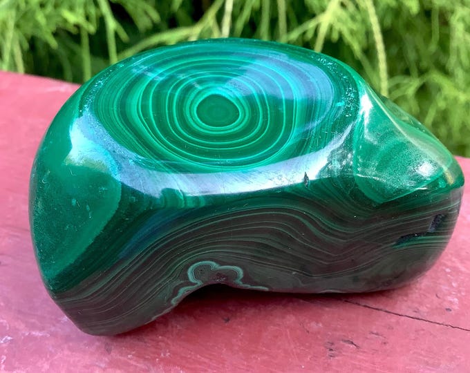 Malachite Freeform Crystal ~ Large 7.6 oz. ~ 2 1/2" Long ~ Beautiful Polished Green Mineral Specimen Display ~ Swirling Bullseye Patterns ~