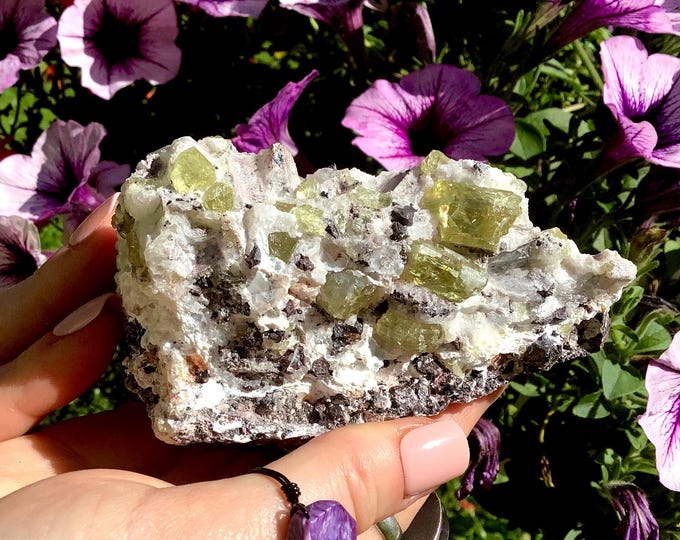 Yellow Apatite Crystal Cluster ~ Large 1 Lb. ~ 4" Long ~ Sparkling Golden Yellow Crystals ~ Feldspar Garnet Matrix ~ Fast & Free Shipping