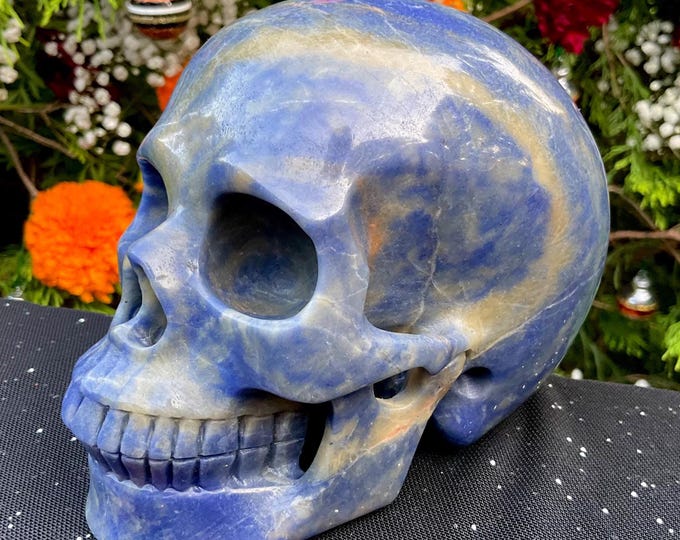 Sodalite Crystal Skull ~ Large 2 Lb. 11 oz.  ~ 5" Long ~ Hand Crafted Sparkling Blue & White Sculpture ~ Reiki Display