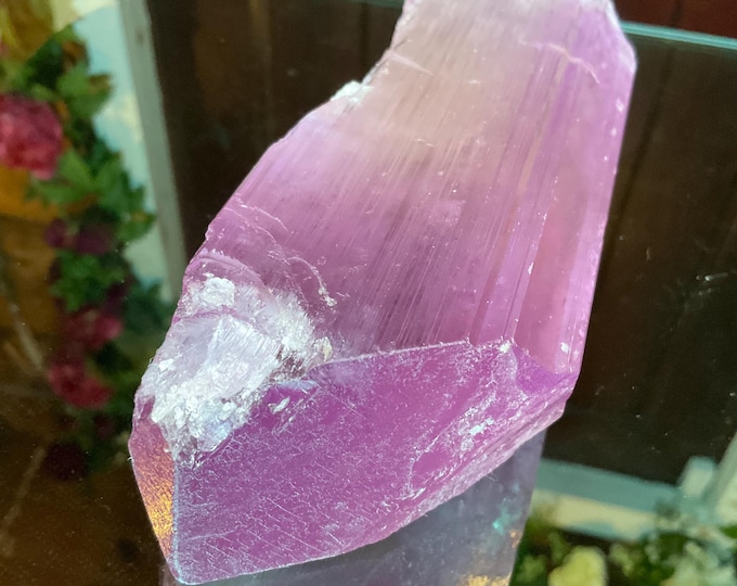 Kunzite Crystal ~ Large 1 LB. 10 oz. ~ 6" Long ~ Museum Quality Natural Gemstone ~ Sparkling Lilac Pink Violet Color Transparent High Luster