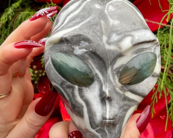 Fossilized Jasper Alien Crystal Skull ~ 2 Lb. 14 oz. ~ 4" Long ~ w/ Labradorite Eyes ~ Stunning Metaphysical Home Decor ~ Fast Free Shipping