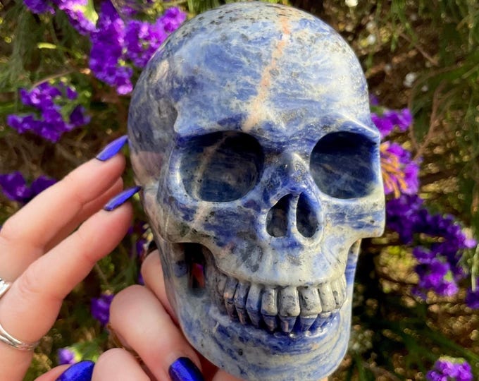 Sodalite Crystal Skull ~ Large 2 Lb. 13 oz. ~ 5" Long ~ Hand Crafted Sparkling Blue & White Sculpture ~ Third Eye Chakra Reiki Altar Display