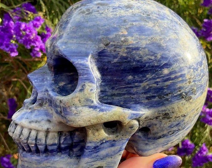 Sodalite Crystal Skull ~ Large 2 Lb. 13 oz. ~ 5" Long ~ Hand Crafted Sparkling Blue & White Sculpture ~ Third Eye Chakra Reiki Altar Display