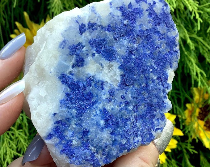 Blue Dumortierite on Quartz Crystal ~ Large 1 Lb. ~ 3" Long ~ Sparkling Blue Color ~ Reiki Altar Meditation Display ~ Fast & Free Shipping