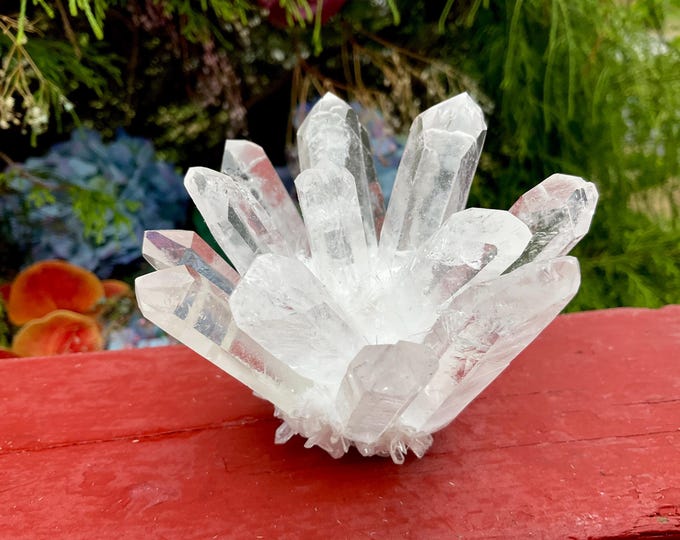 Ultra Clear Quartz Crystal Cluster ~ Large 9 oz. ~ 3" Long ~ Stunning Display Specimen, Perfect Points ~ Fast & Free Shipping, U.S.A ~
