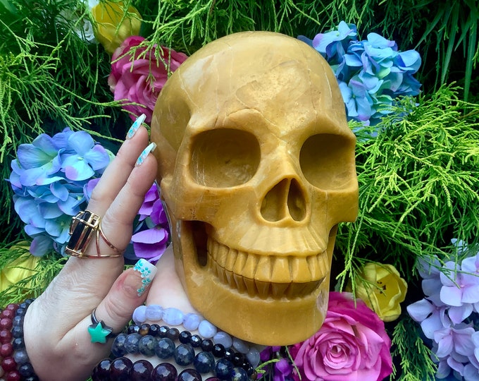 Yellow Jasper Crystal Skull ~ Large 7 Lb 11 oz ~ 6" Long High Quality ~ Expertly Hand-Carved Life-Size Sculpture Vivid Color ~ Fast Shipping