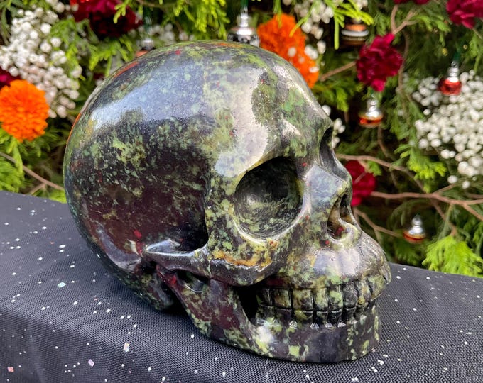 Bloodstone Crystal Skull ~ Large 2 Lb. 12 oz. ~ 5" Long ~ Red and Green ~ One-of-a-Kind ~ Expertly Hand Carved Sculpture ~ Fast Shipping