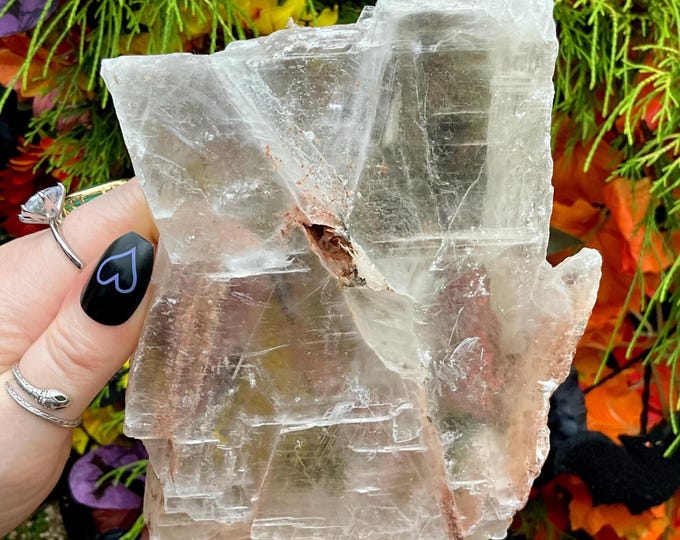 Transparent Selenite Crystal Cluster - Large 1 Lb. 13 oz. ~ 7" Long - Beautiful Clear Shiny Iridescent Mineral Specimen -