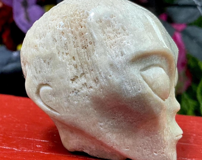 CLEARANCE ~ Fossilized Coral Stone Mini Crystal Skull ~ 5 oz ~ 2" Tall ~ Peach & Gray Colors ~ Expertly Hand -Carved Display Sculpture