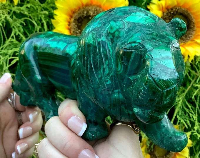 Malachite African Lion Crystal Carving ~ Big 2 Lb. 8 oz. ~ 8" Long ~ Vintage Hand Carved ~ Museum Quality Polished Specimen