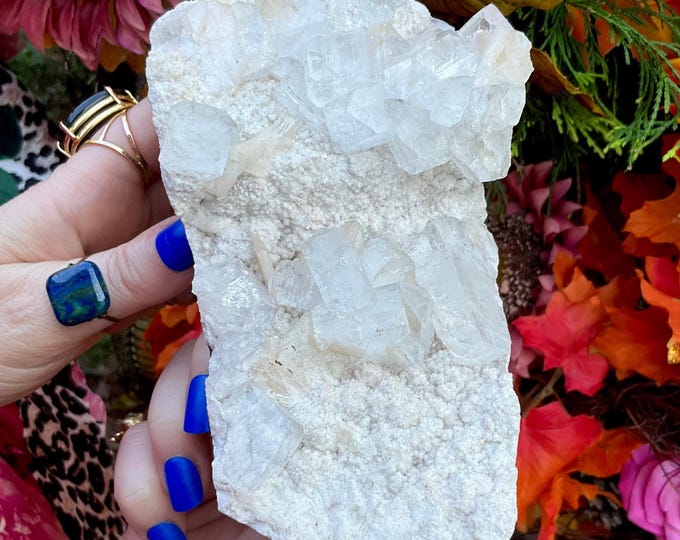 Apophyllite Zeolite Crystal Cluster ~ Large 2 Lb. 10 oz. ~ 7" Long Stunning Sparkling Crystal Specimen ~ Loaded with Cubic White Crystals