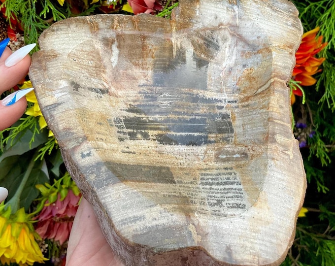Petrified Wood Crystal Bowl ~ Large 4 lb. 6 oz. ~ 7" Long ~ Stunning Display from Indonesia ~ Millions of Years Old ~ Fast Free Shipping USA