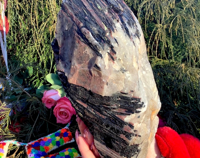CLEARANCE! ~ Black Tourmaline in Quartz Crystal Cluster ~ Large 10 lb. ~ 10" Long ~ Stunning Natural Unpolished Crystal