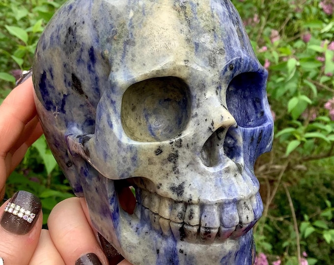 Sodalite Crystal Quartz Large 2 Lb. 12 oz. Skull ~ 5" Long ~ Beautiful Sparkling Blue & White Crystal Sculpture ~