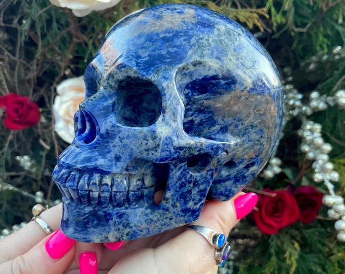 Sodalite Crystal Skull ~ Large 2 Lb. 15 oz. ~ 5" Long ~ Third Eye Chakra Altar Display ~ Royal Blue Color ~ Fast & Free Shipping, U.S.A. ~