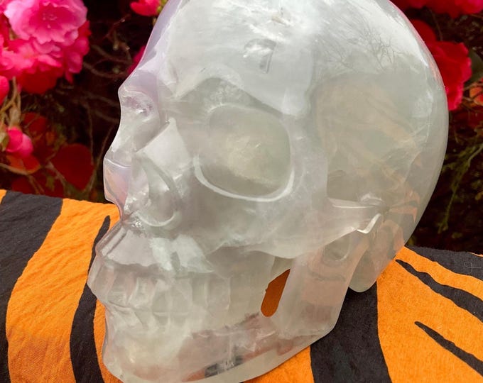 Rainbow Fluorite Crystal Skull ~ Large 3 Lb. 5 oz. ~ 5" Tall ~ Expertly Hand Carved Sculpture ~ Translucent Purple, White & Green Colors