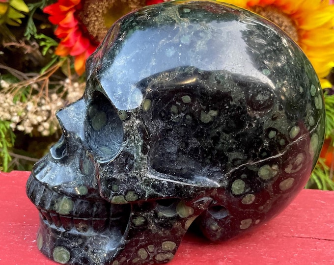 Kambaba Jasper Crystal Skull ~ Large 2 Lb. 12 oz. ~ 5" Long ~ High Quality ~ Expertly Hand Carved Swirling Colors ~ Fast & Free Shipping USA